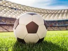 赵鑫鑫等,人违规,中国象棋协,立博体育官网,Ladbrokes,Sports,足球直播,篮球赛事,体育高清,NBA直播