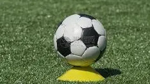 立博体育 产品 110240 8gm