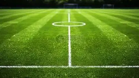 赘婿开播时间揭晓 赘婿剧集上映日期一览