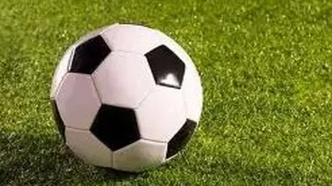 立博体育 产品 110420 op7