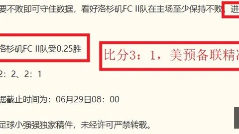 终极解析：突尼斯对决荷兰，风力挑战10级风力的奥秘